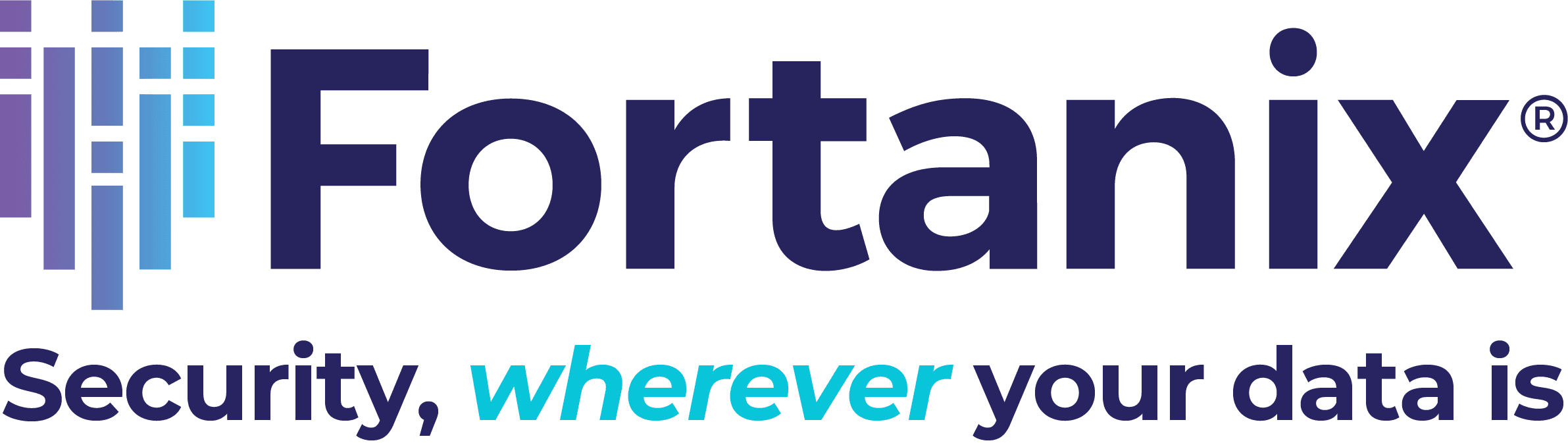 Fortanix Inc.   logo