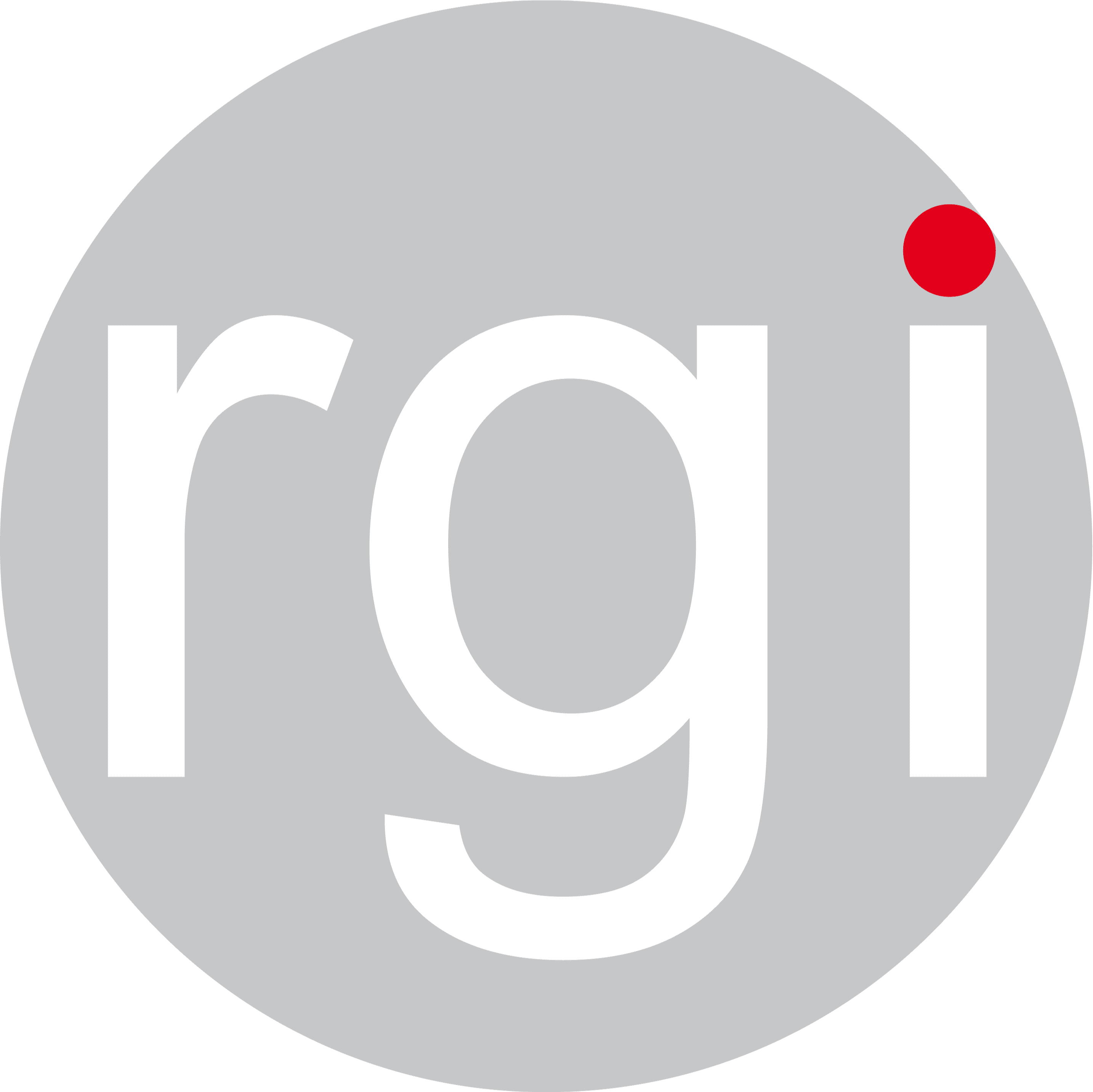 rgi - RS Gesellschaft für Informationstechnik mbH & Co. KG logo