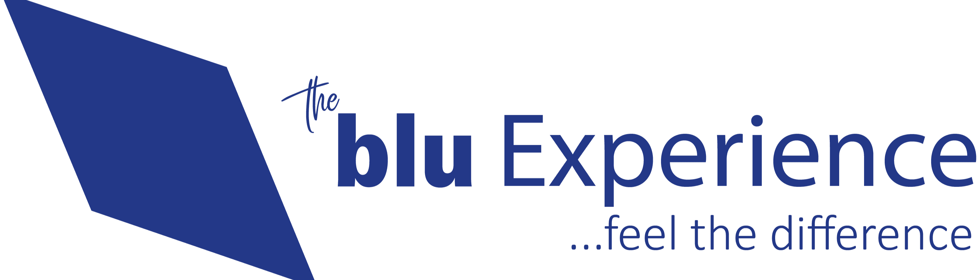 blu Systems GmbH