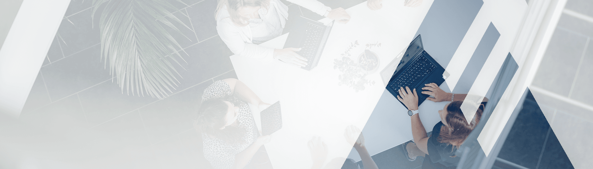 SCALTEL GmbH & Co. KG
