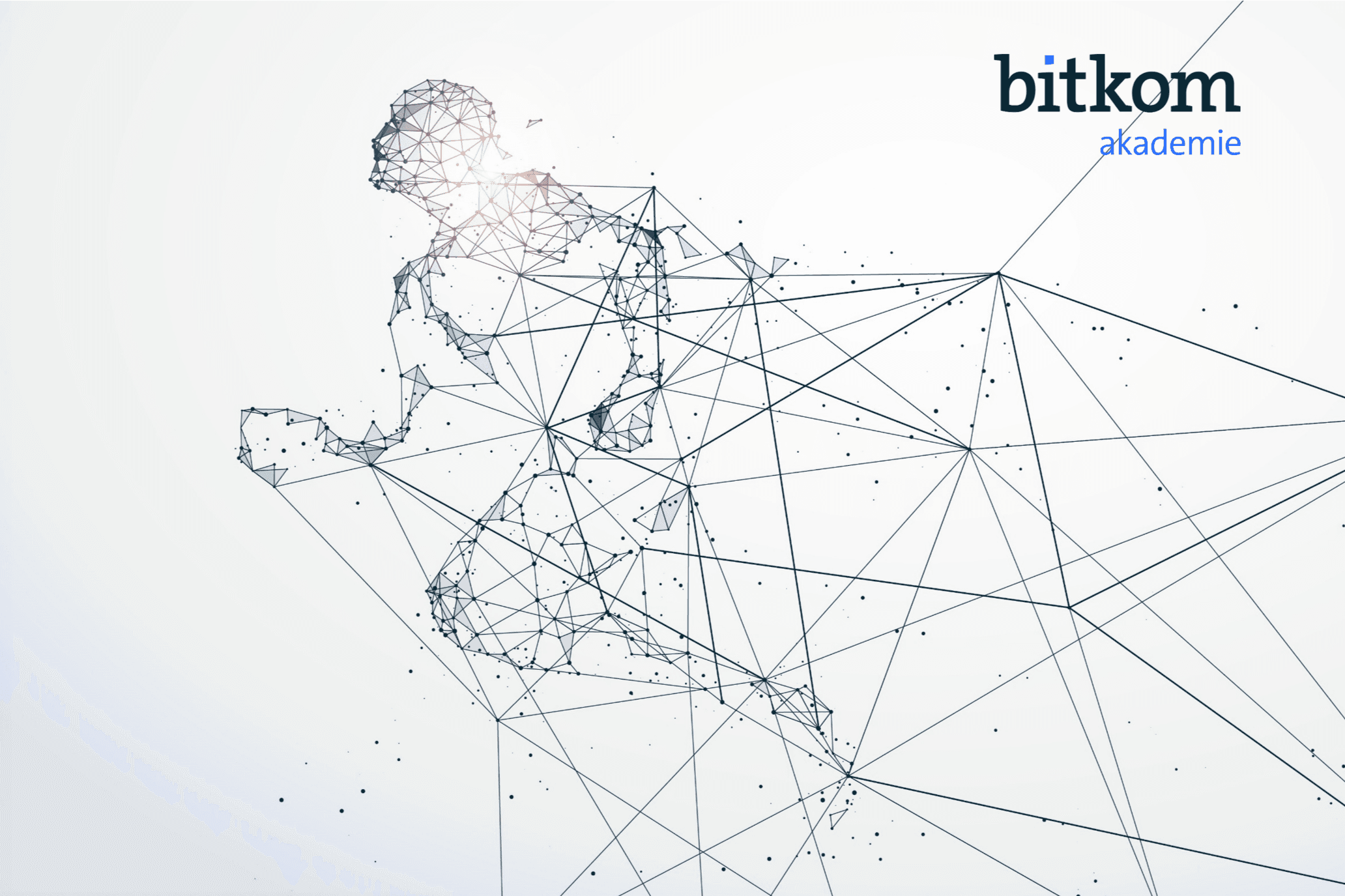 Bitkom Akademie