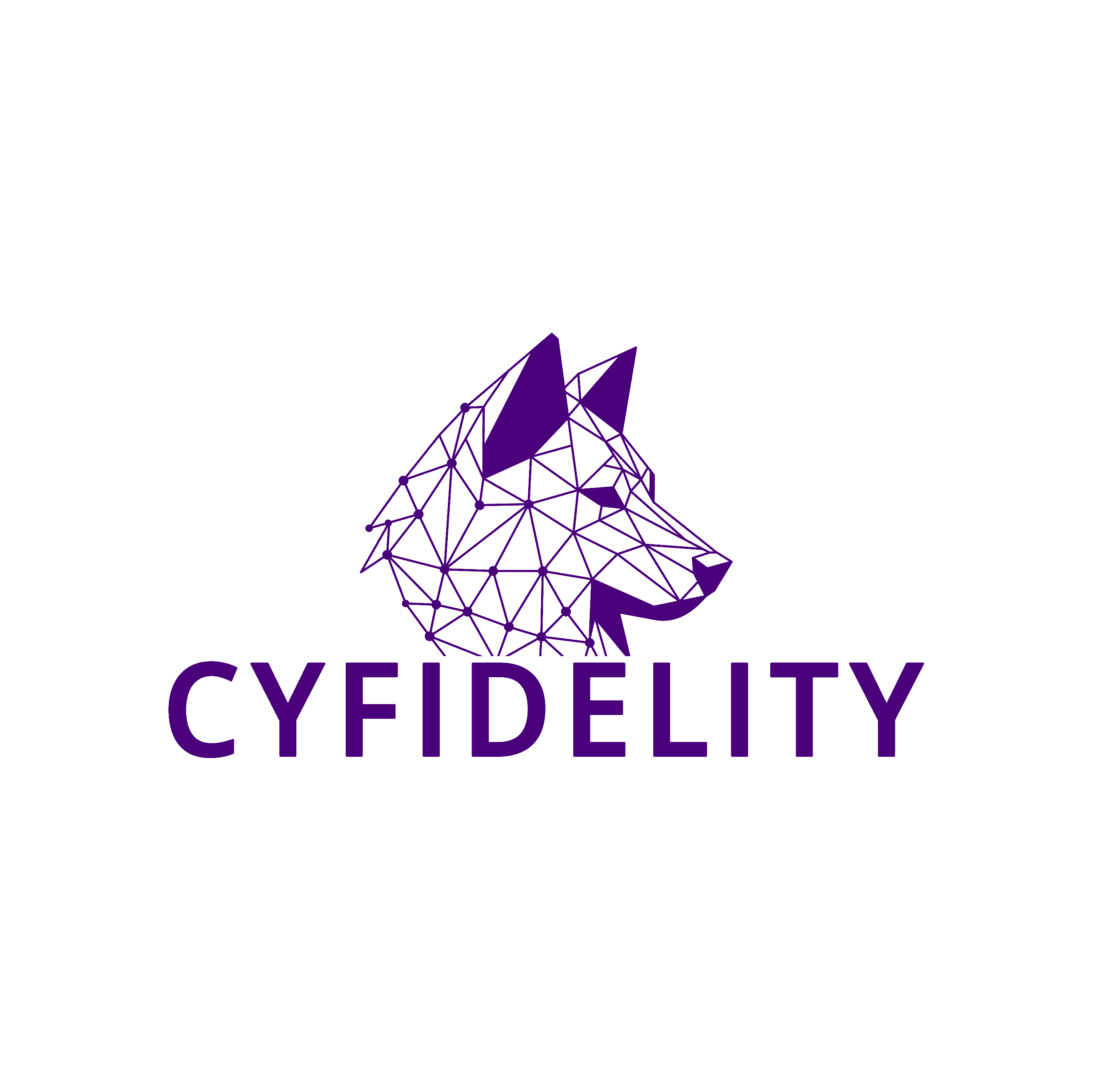 Cyfidelity Security Services GmbH logo