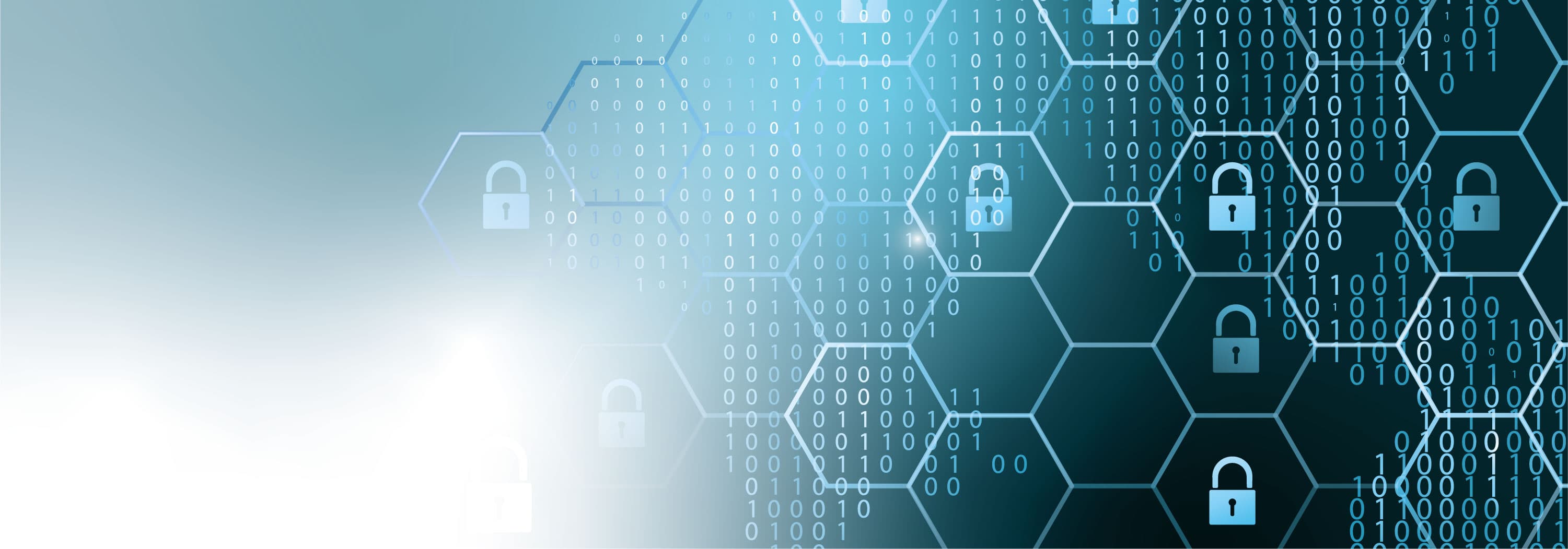 Adva Network Security