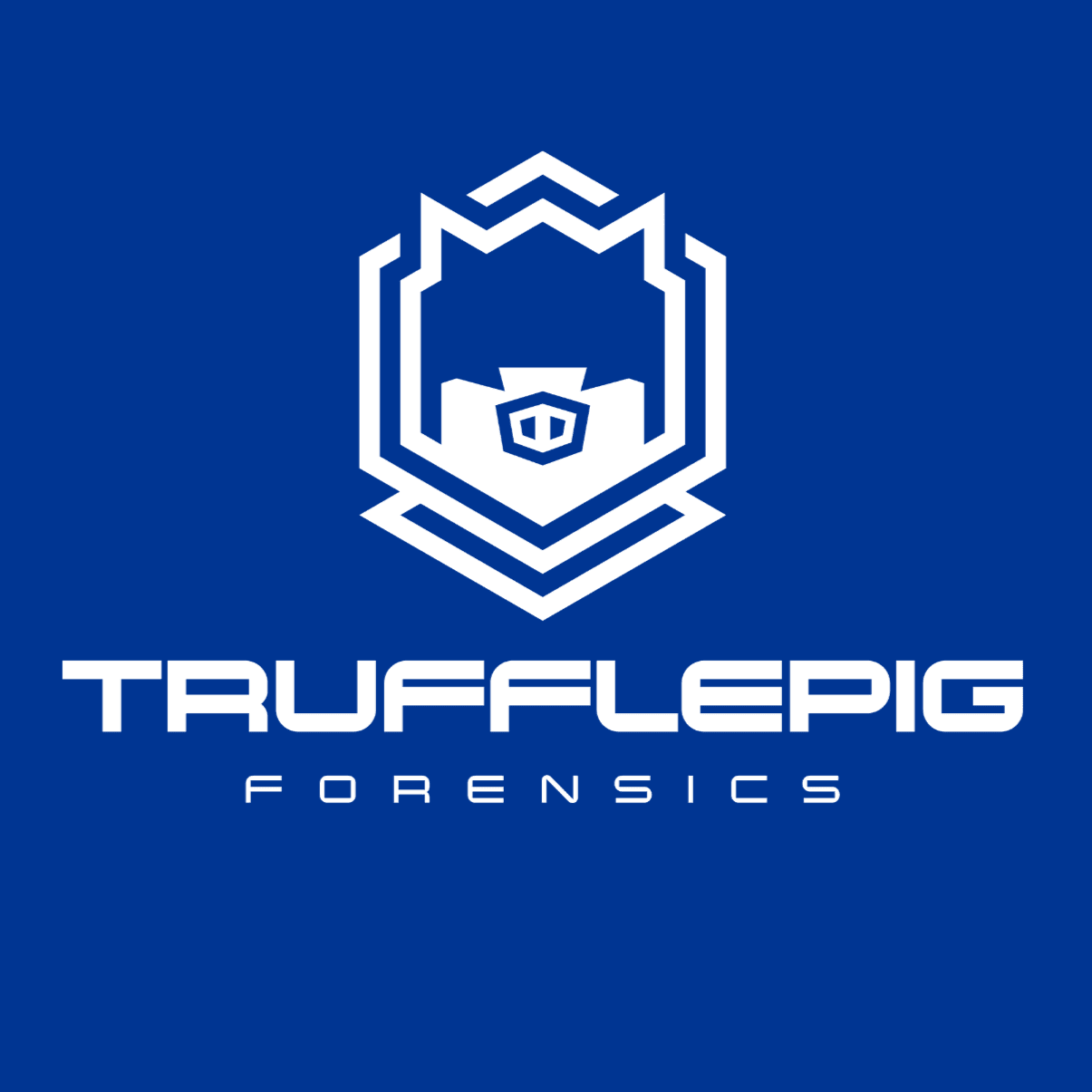 Trufflepig IT-Forensics GmbH logo