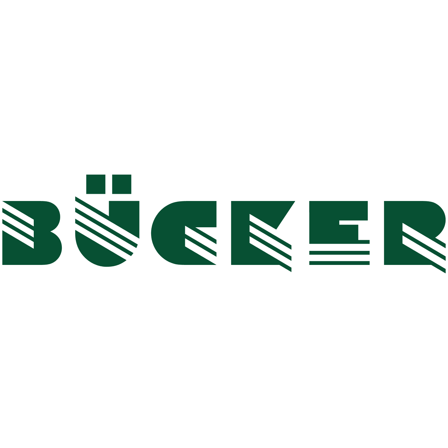Bücker IT-Security GmbH   logo