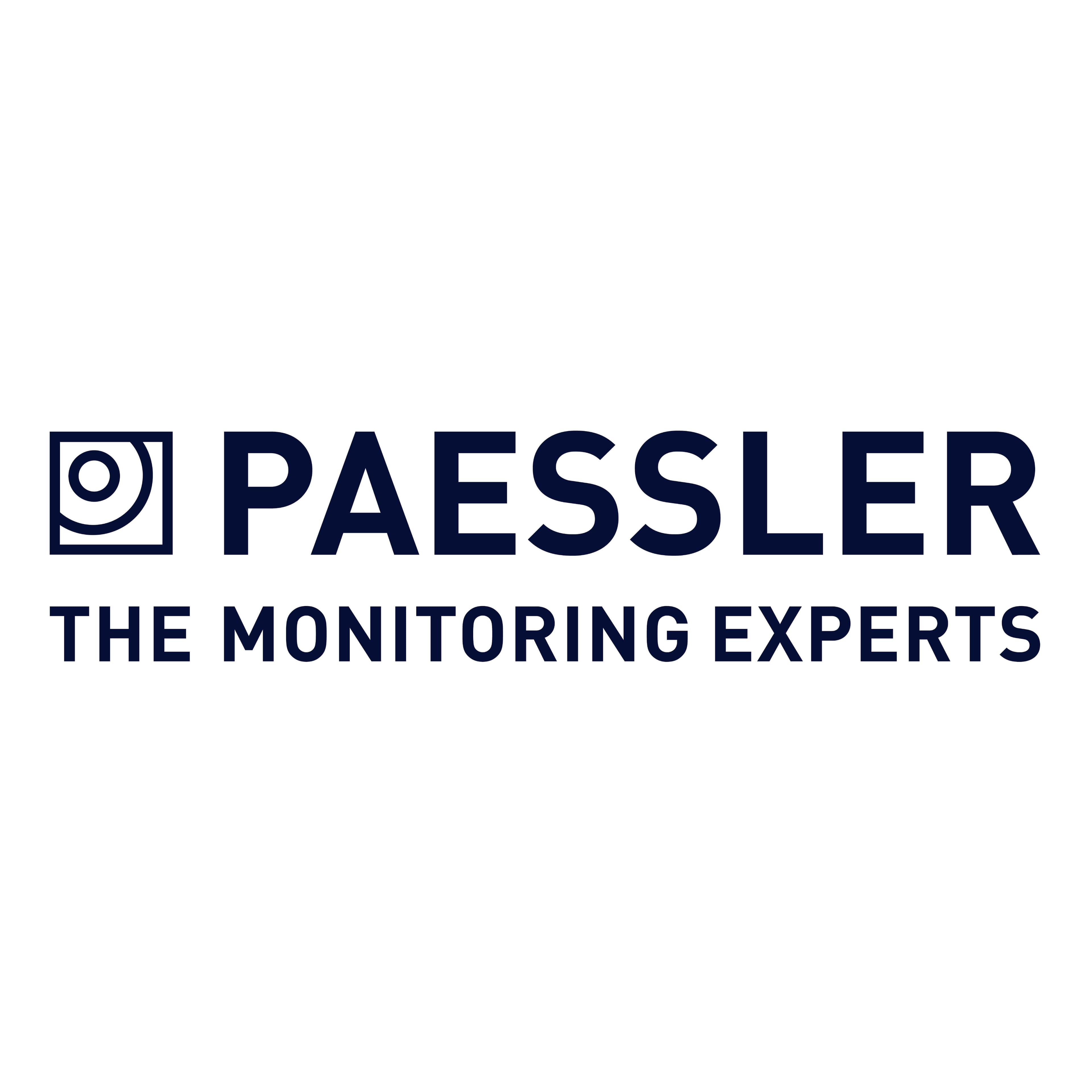 Paessler GmbH logo