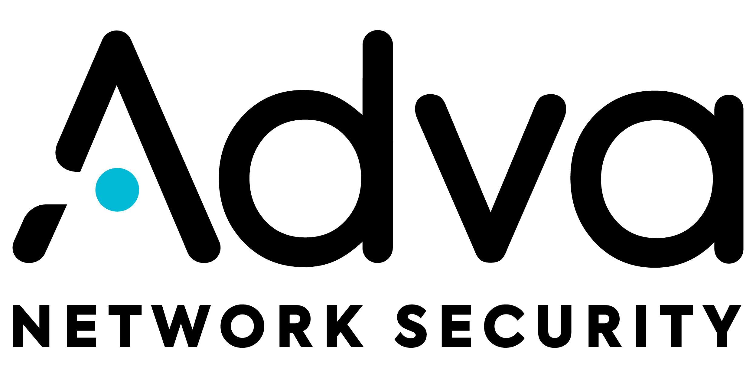 Adva Network Security logo