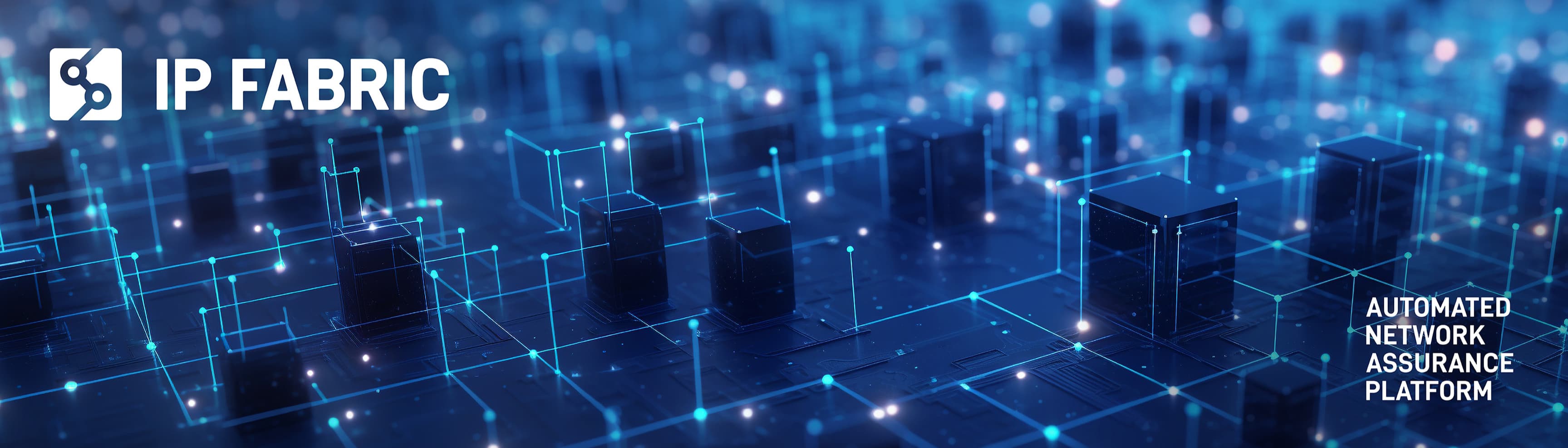 IP Fabric