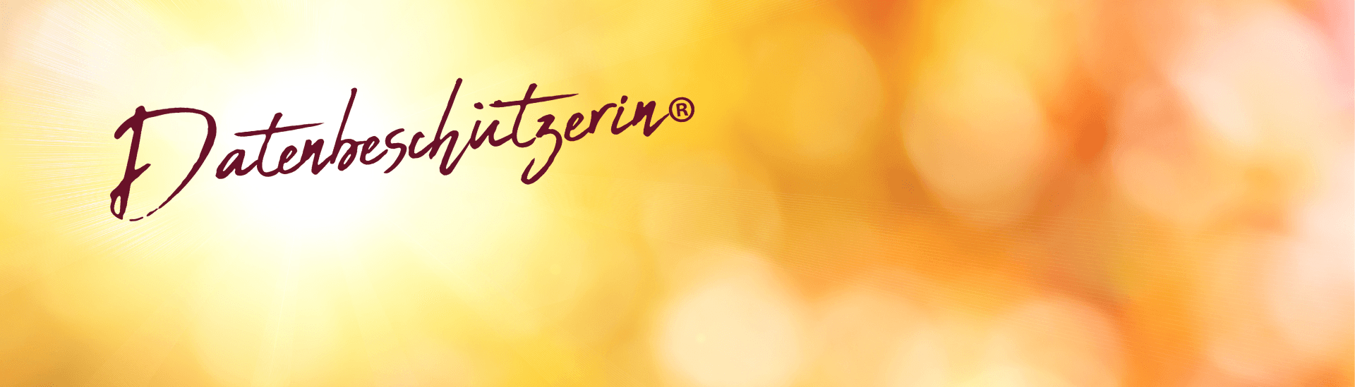 Datenbeschützerin GmbH