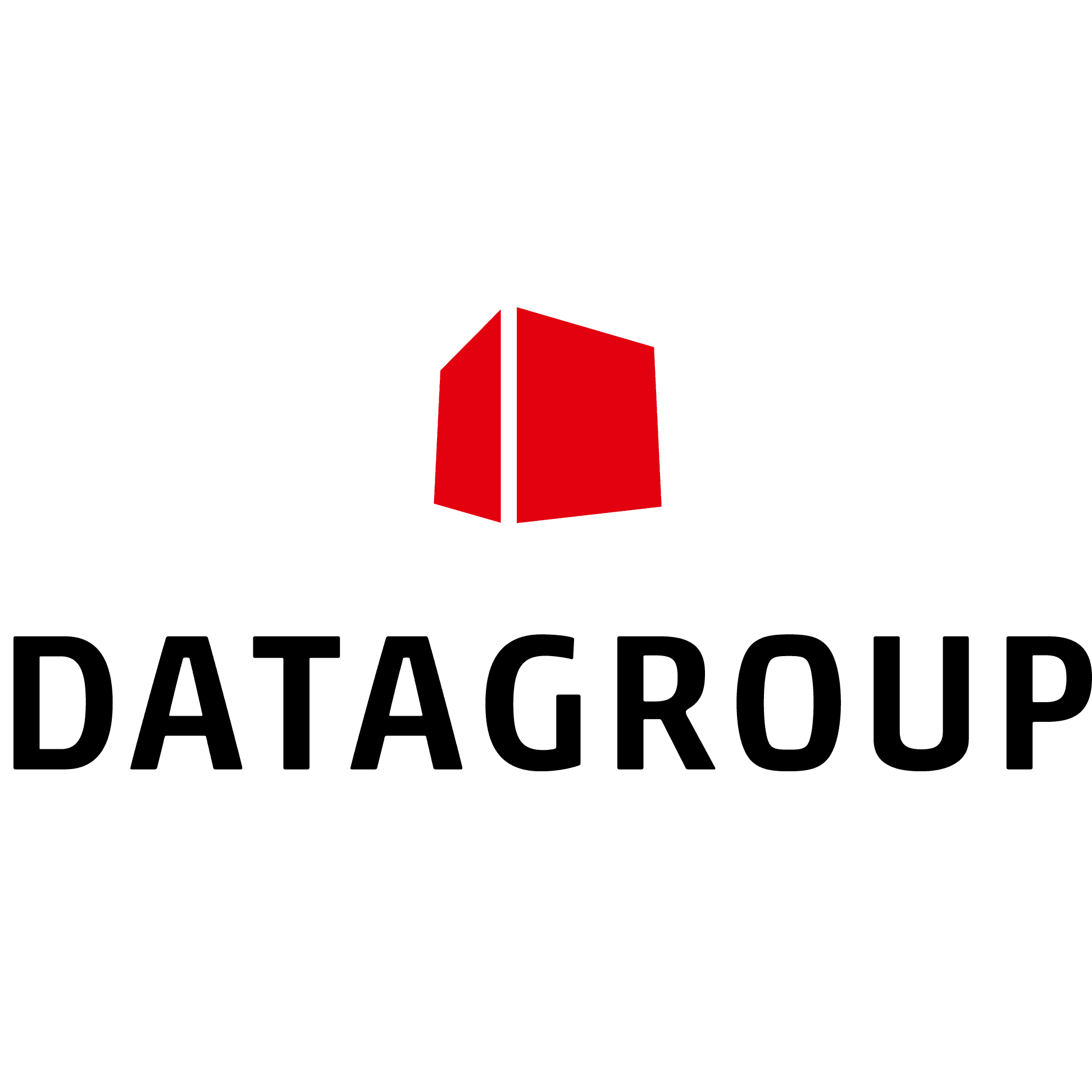 DATAGROUP logo