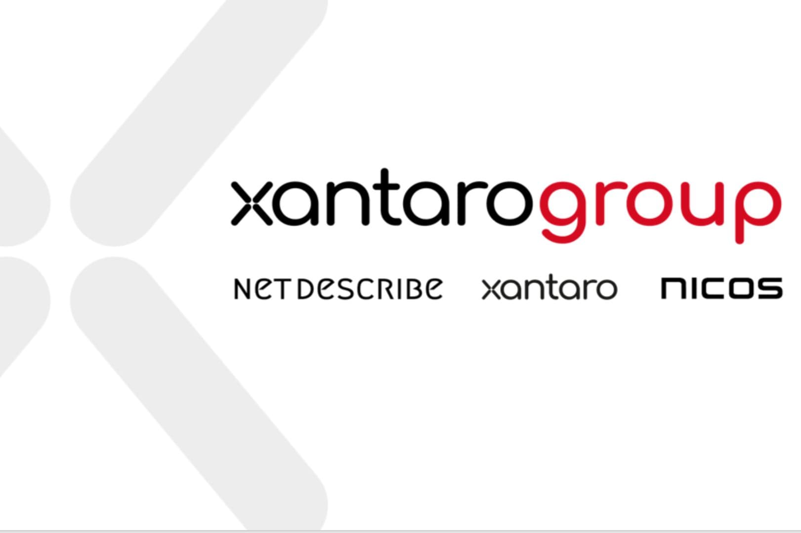 NetDescribe GmbH