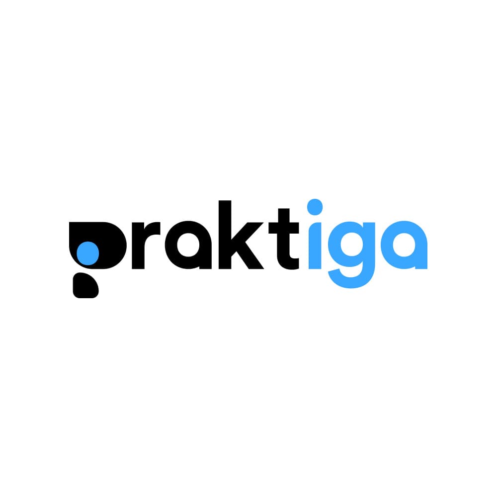 praktiga Consulting GmbH logo