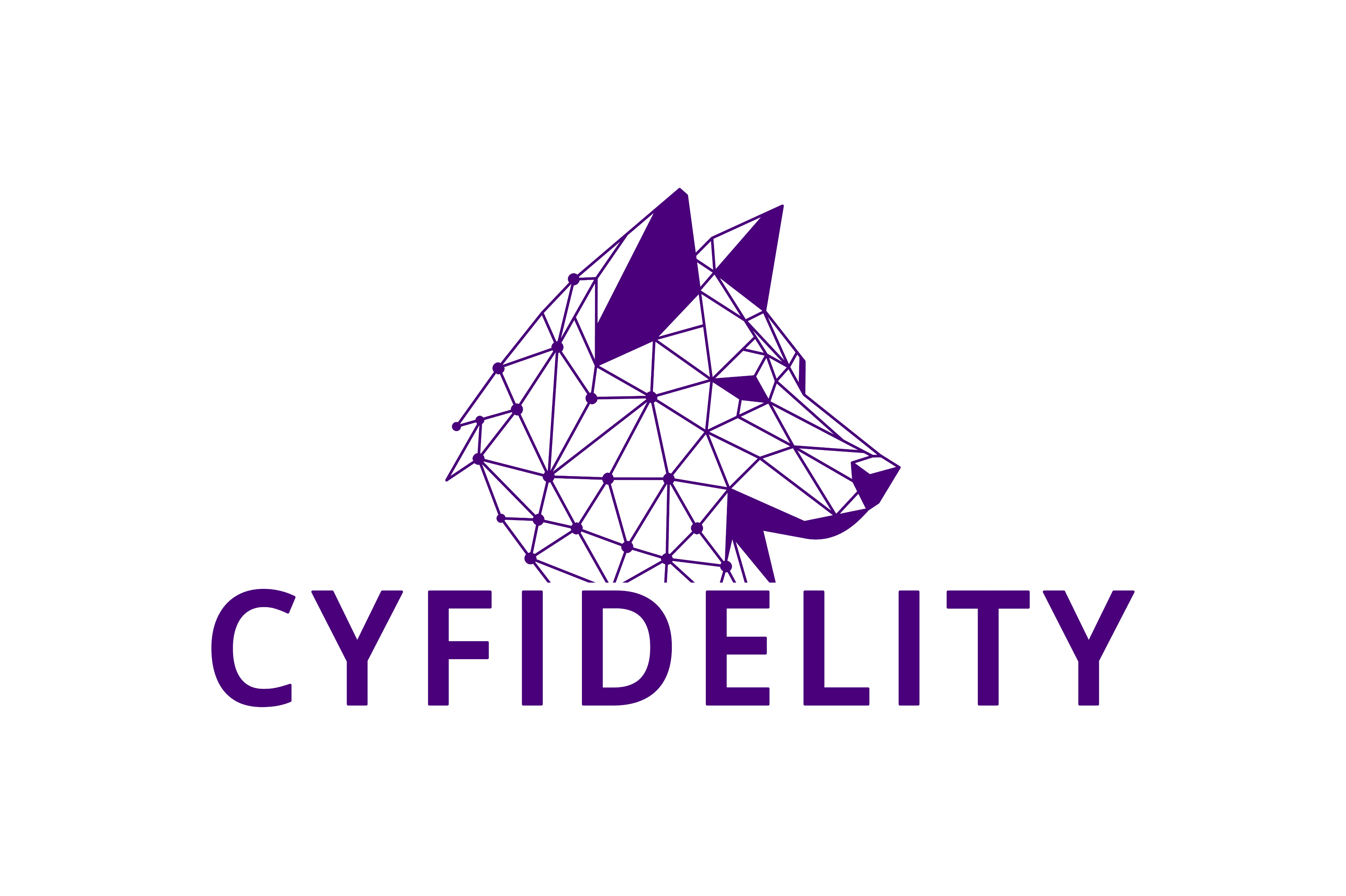 Cyfidelity Security Services GmbH