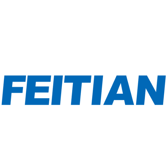 Feitian Technologies Co., Ltd. logo