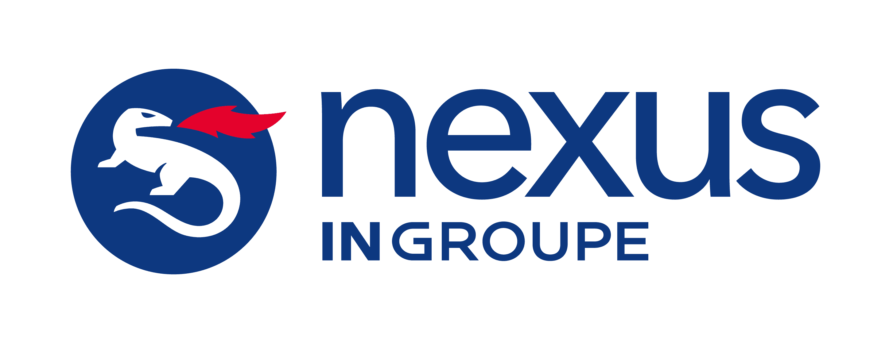 Nexus IN Groupe logo