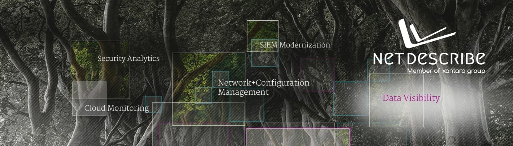 NetDescribe GmbH