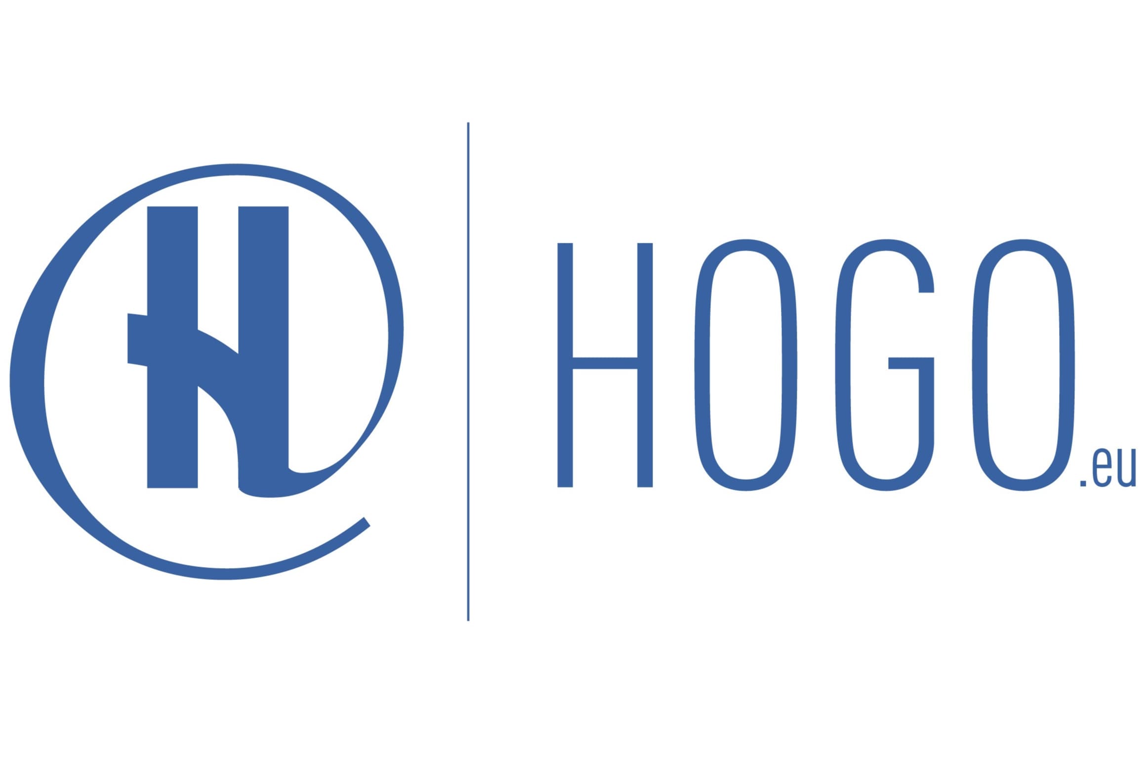 SAS HOGO BUSINESS SERVICES