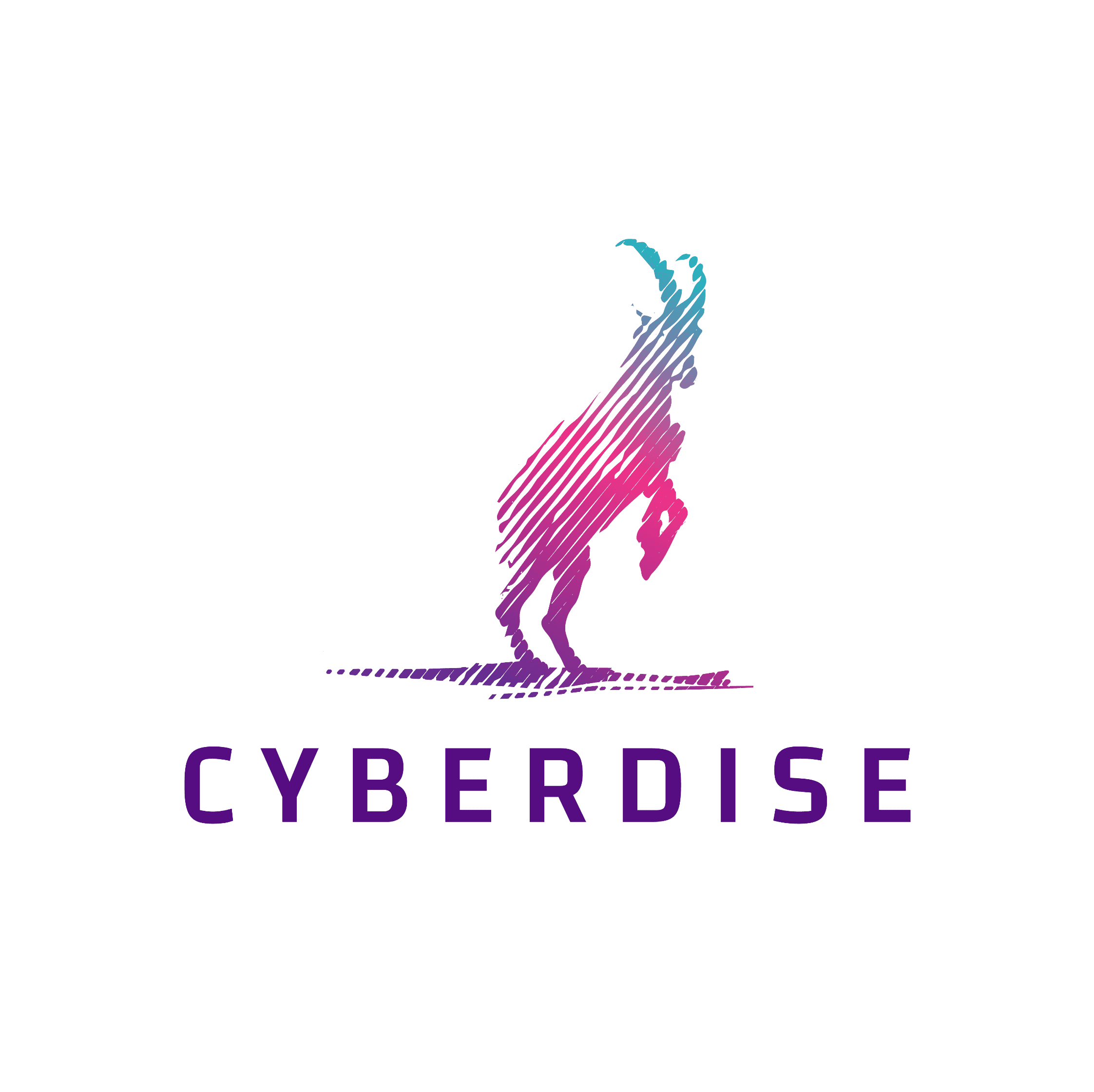 Cyberdise logo