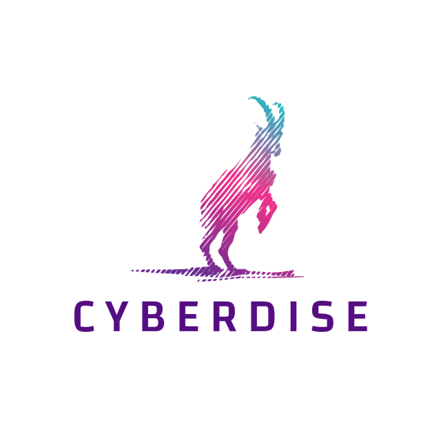 Cyberdise logo