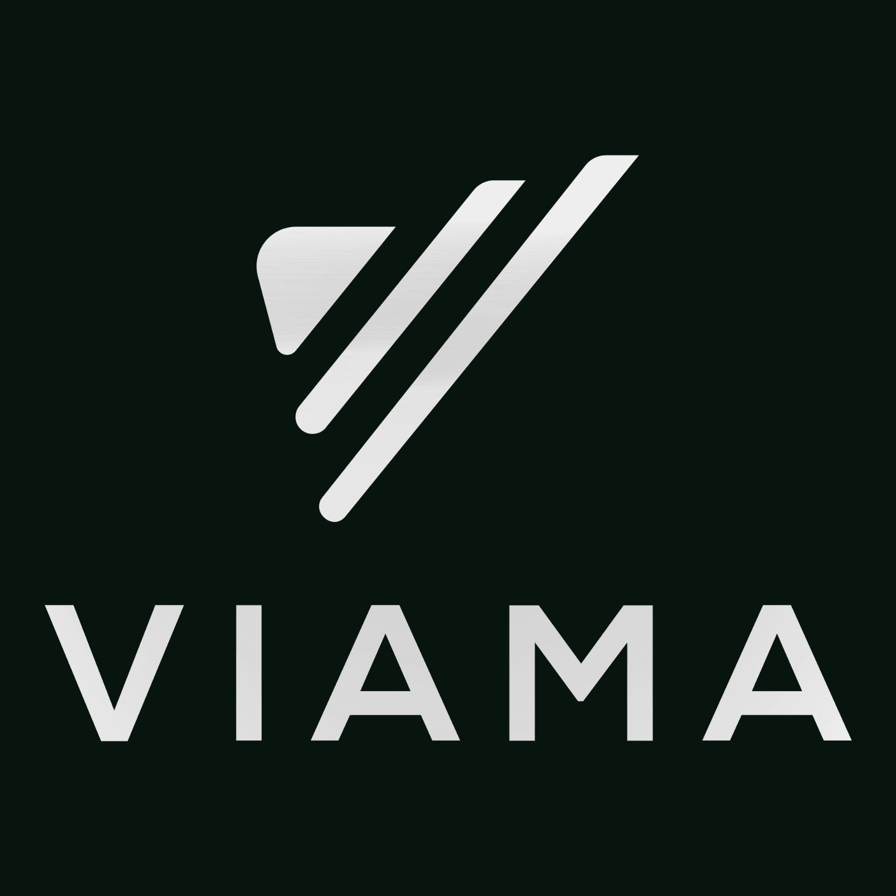 VIAMA Leadership GmbH logo