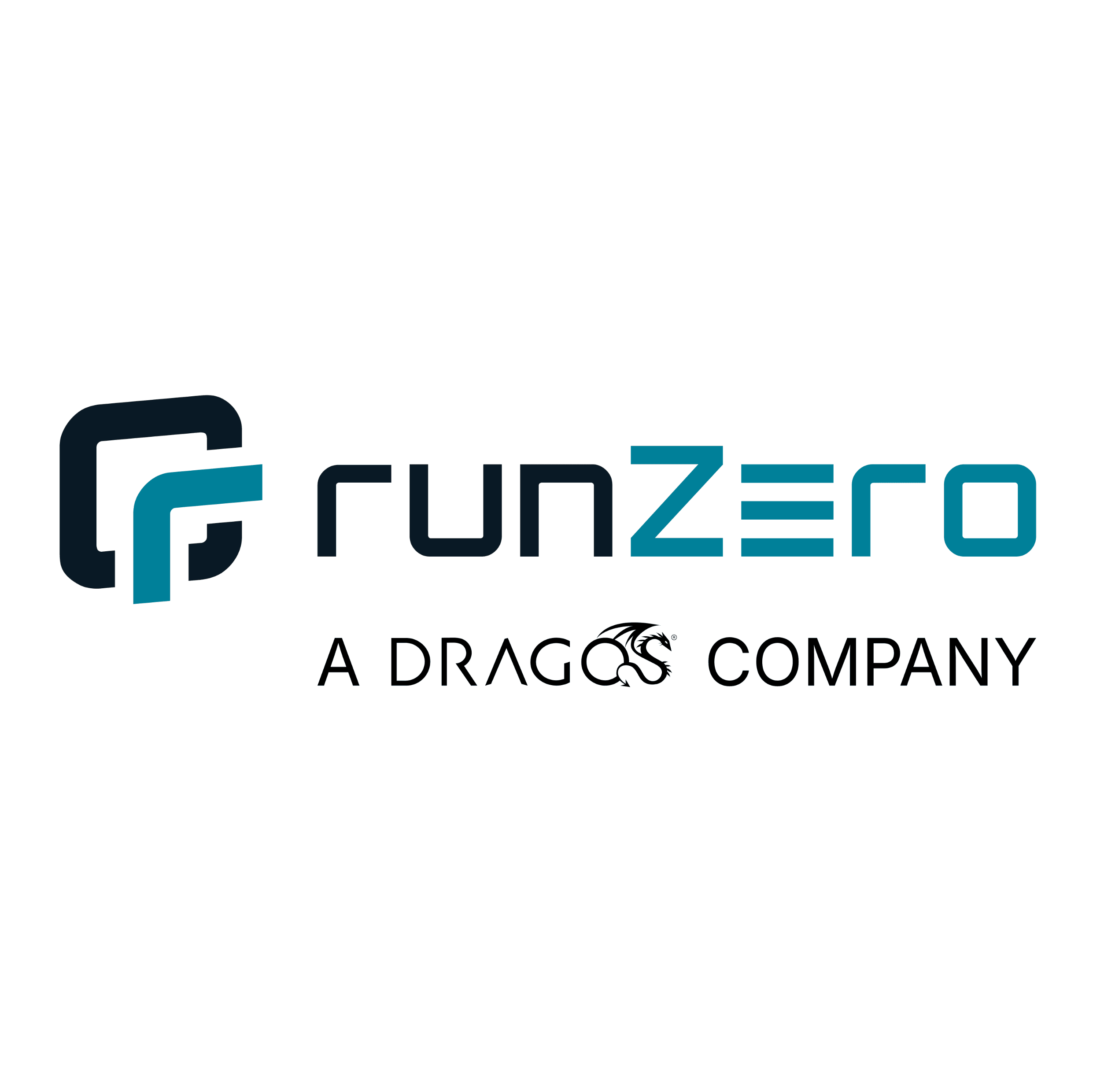 runZero, Inc logo