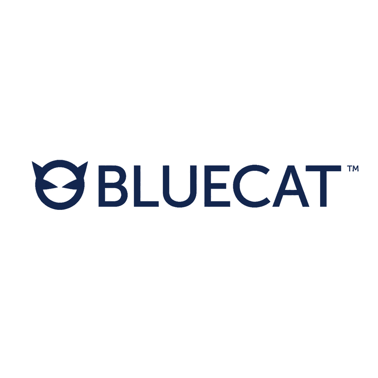 BlueCat Networks GmbH logo